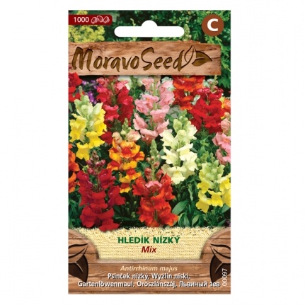 Osivo letniček - Hledík nízký (MS)