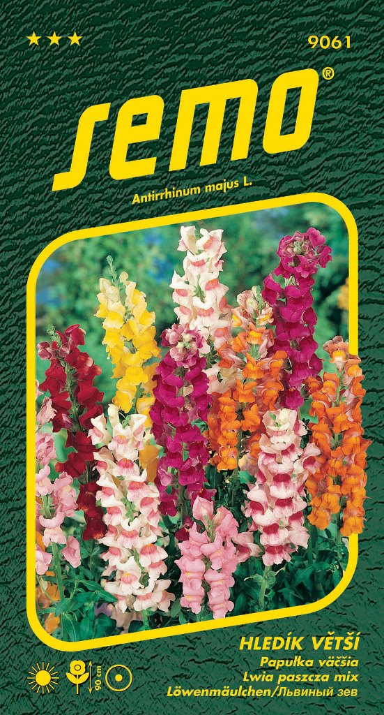 Osivo letniček - Hledík větší Maximum