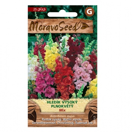 Osivo letniček - Hledík vysoký plnokvětý směs (MS)