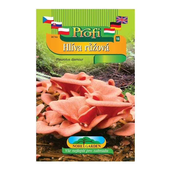 Houby - Hlíva růžová