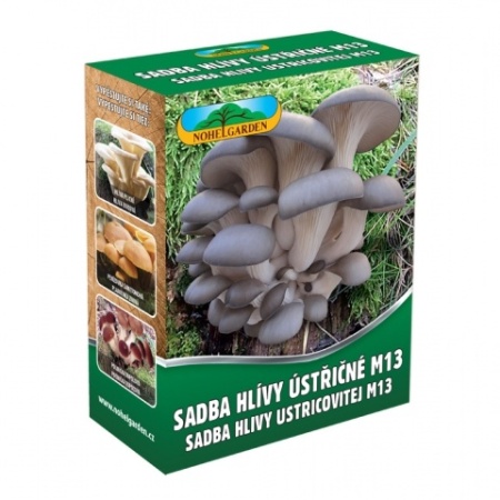 Houby - Hlíva ústřičná M13 sadba 250ml
