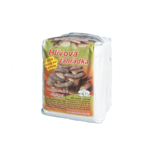 Houby - Hlíva ústřičná zahrádka 6kg