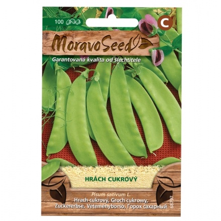 Osivo zeleniny - Hrách cukrový JESSY (MS)