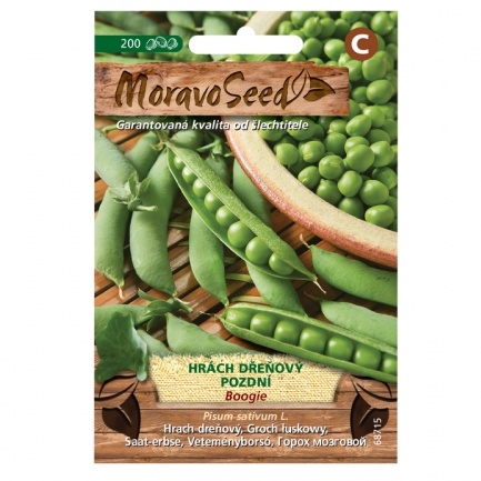 Osivo zeleniny - Hrách dřeňový pozdní BOOGIE (MS)