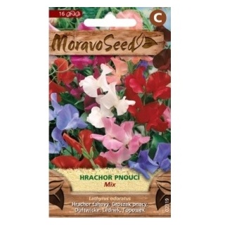 Osivo letniček - Hrachor pnoucí směs (MS)