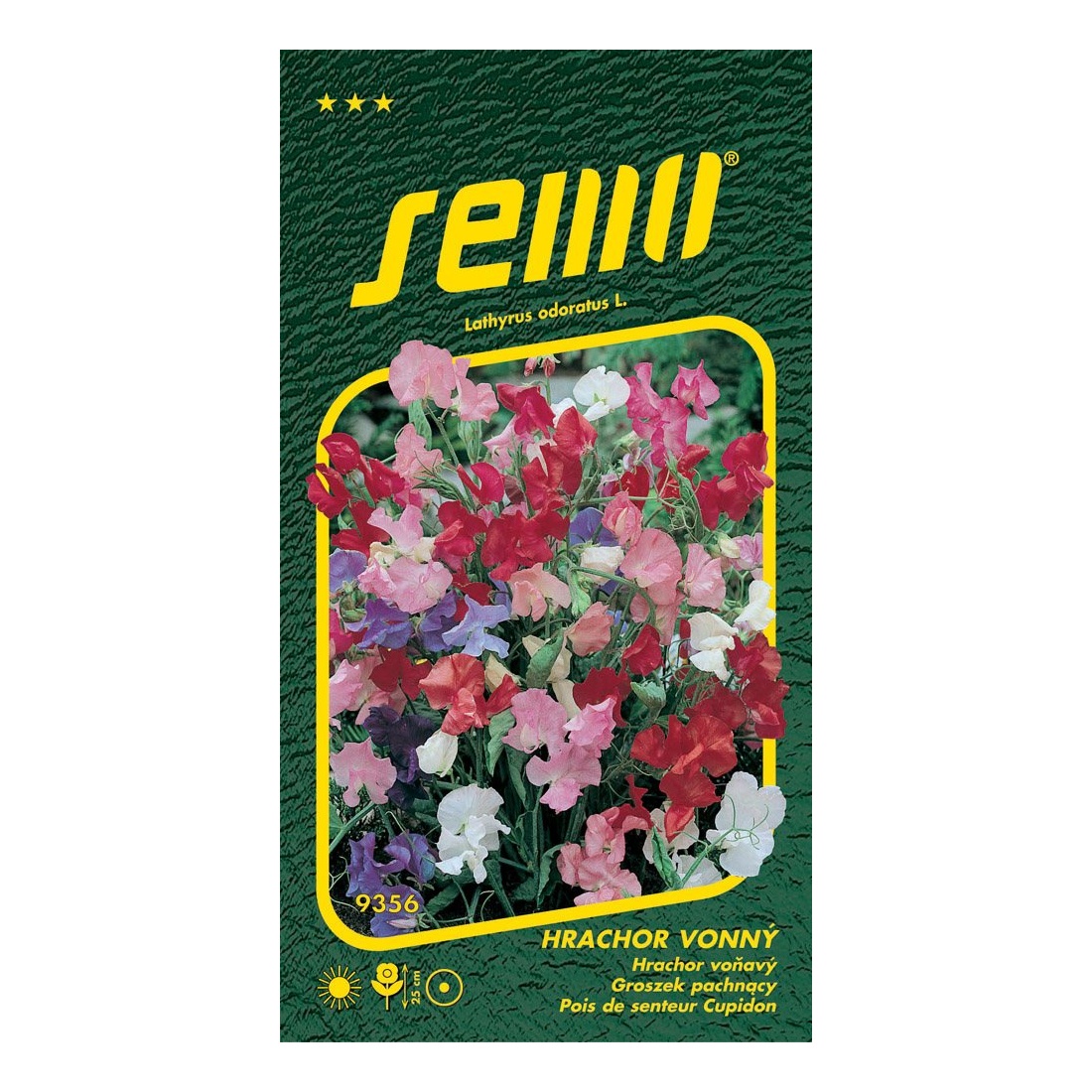 Osivo letniček - Hrachor vonný Cupidon nízký