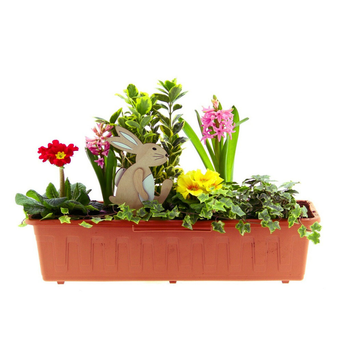 Jarní truhlíky s cibulovinami - Hravé jaro truhlík 60cm