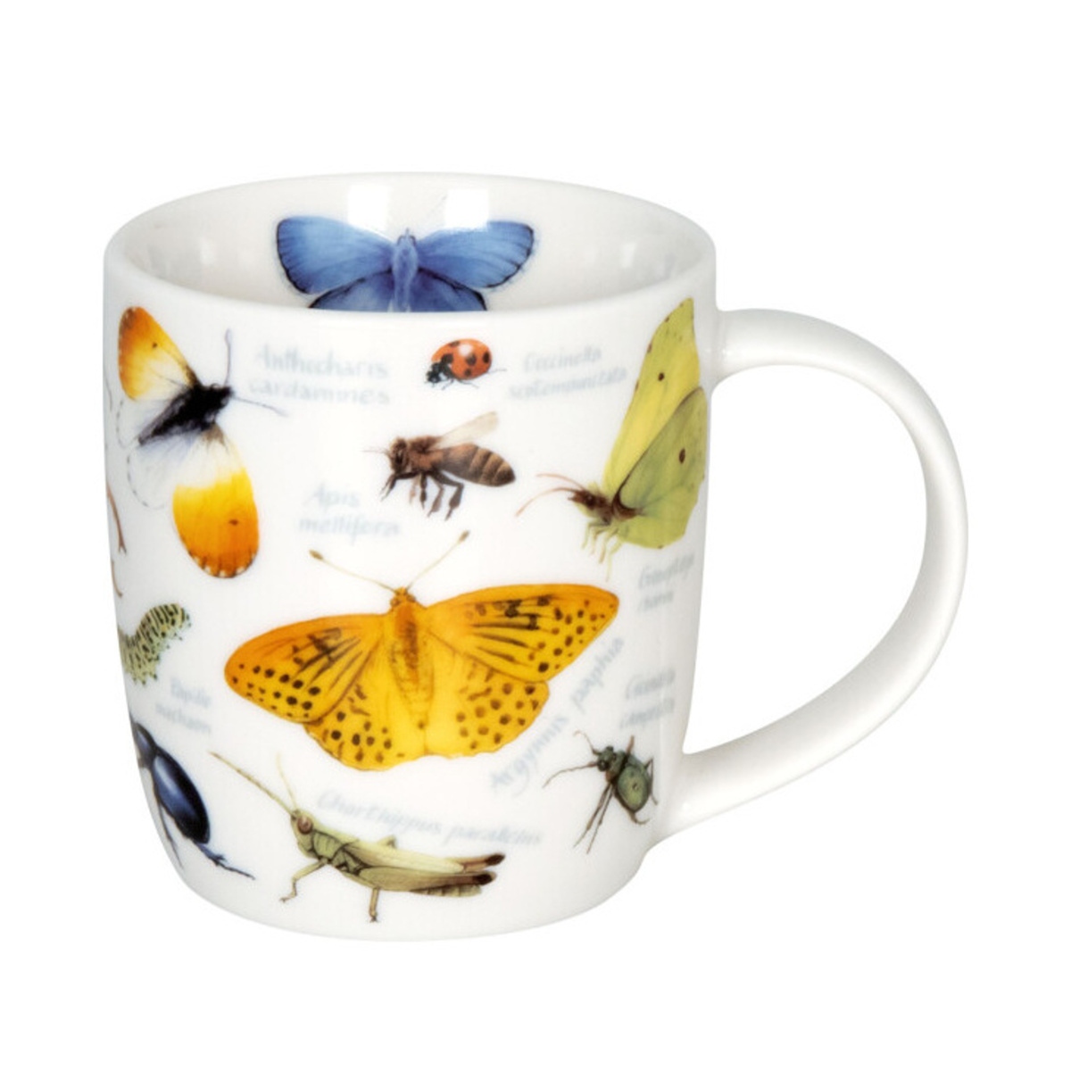 Hrnky a sklenice - Hrnek porcelánový ROZMANITOST PŘÍRODY s hmyzem 200ml