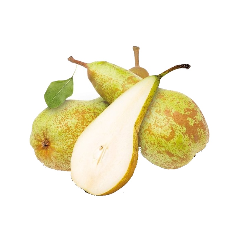 Hrušeň 'Abate Fetel' květináč 5 litrů, balkonová, zákrsek, podzimní, CIZOSPRAŠNÁ-0