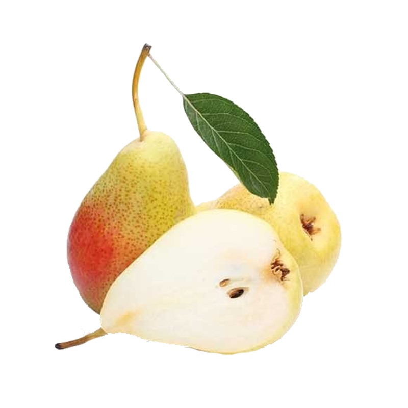 Hrušeň Clappova květináč 6 litrů, výška 150/175cm, letní, CIZOSPRAŠNÁ-0