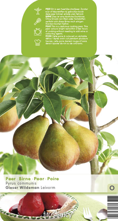 Hrušně - Hrušeň 'Gieser Wildeman' květináč 6 litrů, výška 150/175cm, podzimní, SAMOSPRAŠNÁ