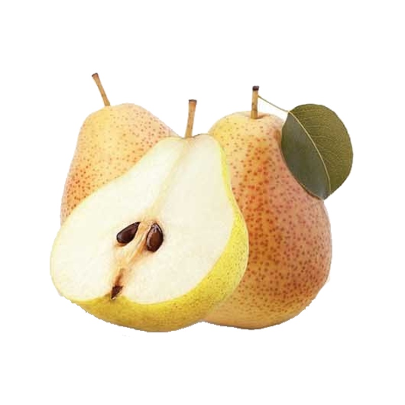 Hrušeň Hardyho máslovka květináč 6 litrů, výška 150/175cm, podzimní, CIZOSPRAŠNÁ-0