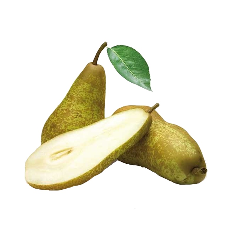 Hrušeň Konference květináč 5 litrů, balkonová, zákrsek, podzimní, CIZOSPRAŠNÁ-0