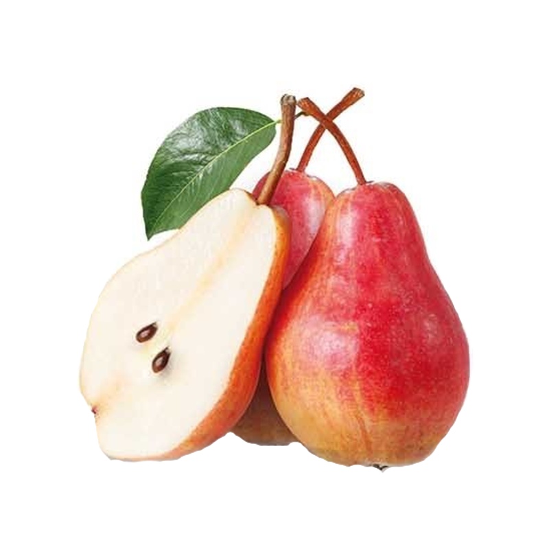 Hrušeň Williamsova červená květináč 5 litrů, balkonová, zákrsek, letní, CIZOSPRAŠNÁ-0