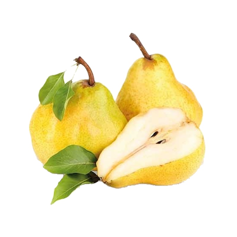 Hrušeň 'Williamsova' květináč 5 litrů, balkonová, zákrsek, letní, CIZOSPRAŠNÁ-0