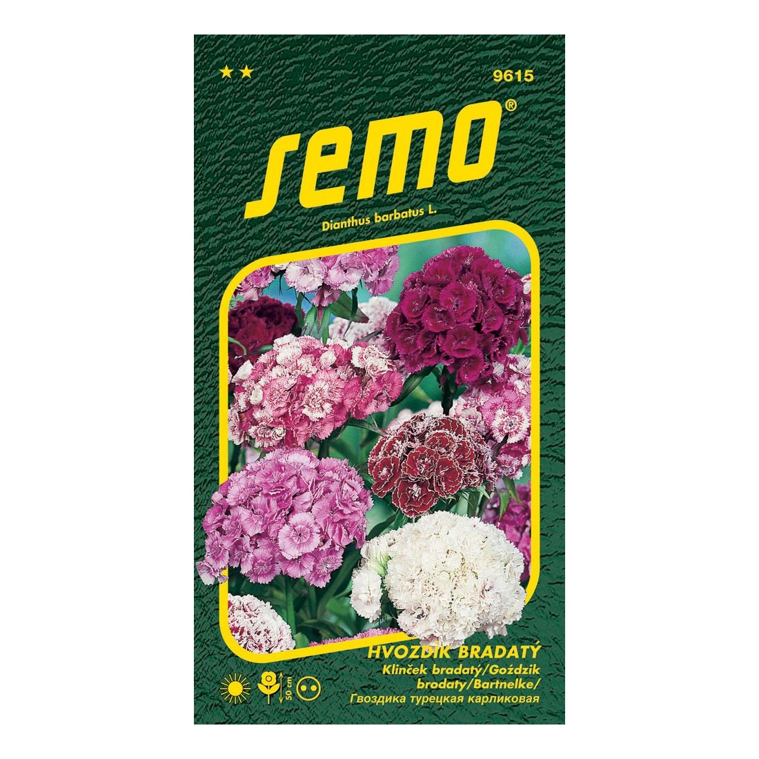 Osivo letniček - Hvozdík bradatý směs