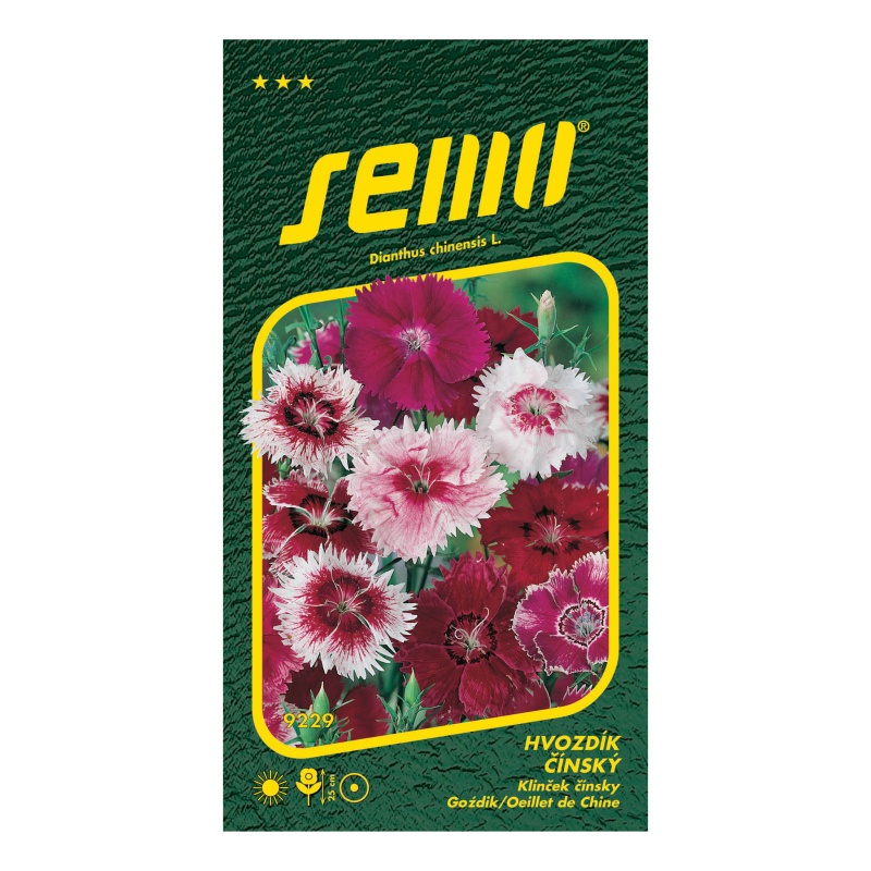 Hvozdík čínský směs barev-0