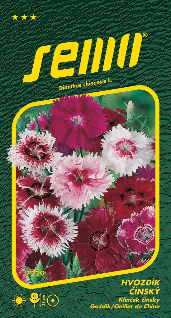 Osivo letniček - Hvozdík čínský směs barev