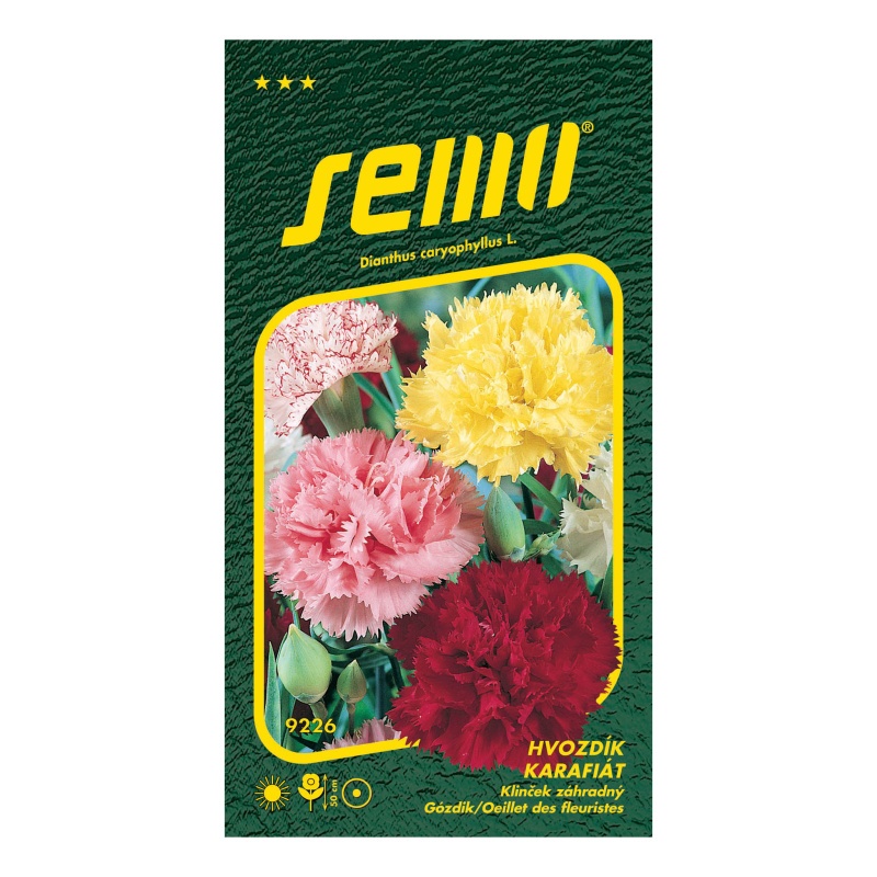 Hvozdík karafiát Chabadův směs-0