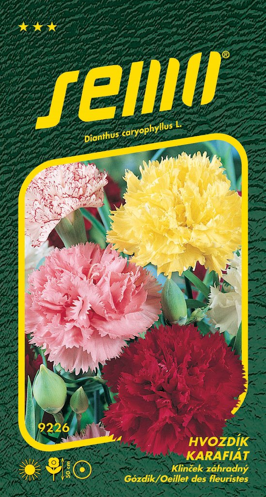 Osivo letniček - Hvozdík karafiát Chabadův směs