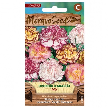 Osivo letniček - Hvozdík karafiát směs (MS)