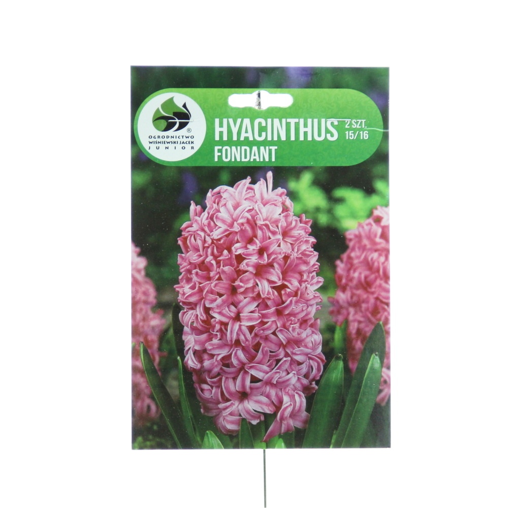 Hyacinty - Hyacint Fondant 2ks