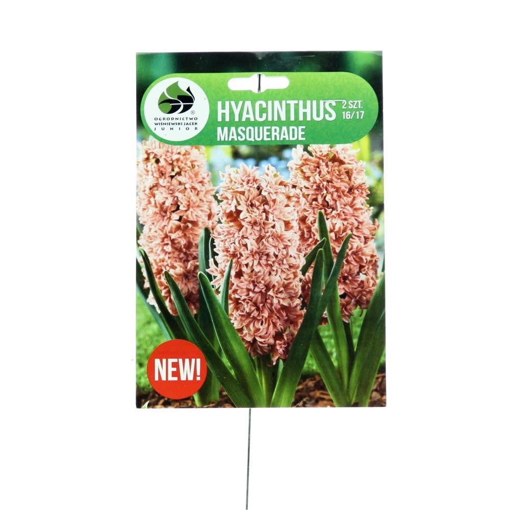 Hyacinty - Hyacint Masquerade 2ks