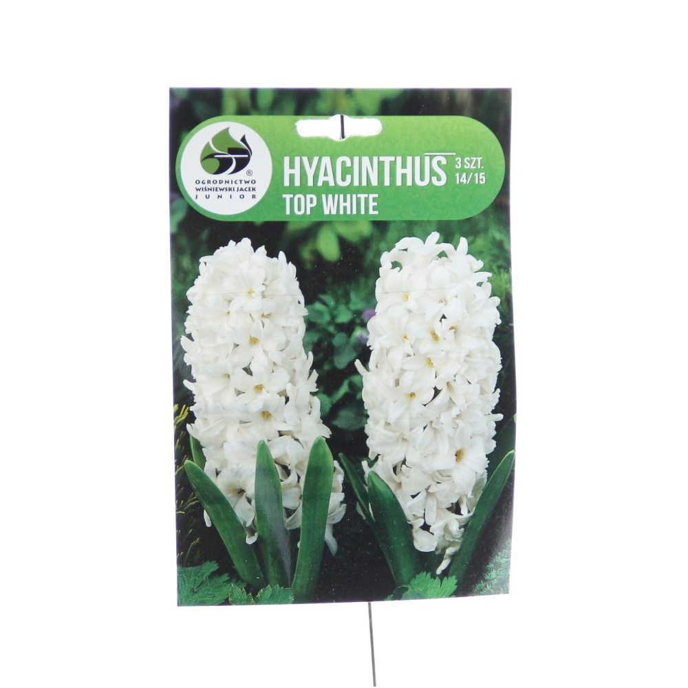 Hyacinty - Hyacint Top White 3ks