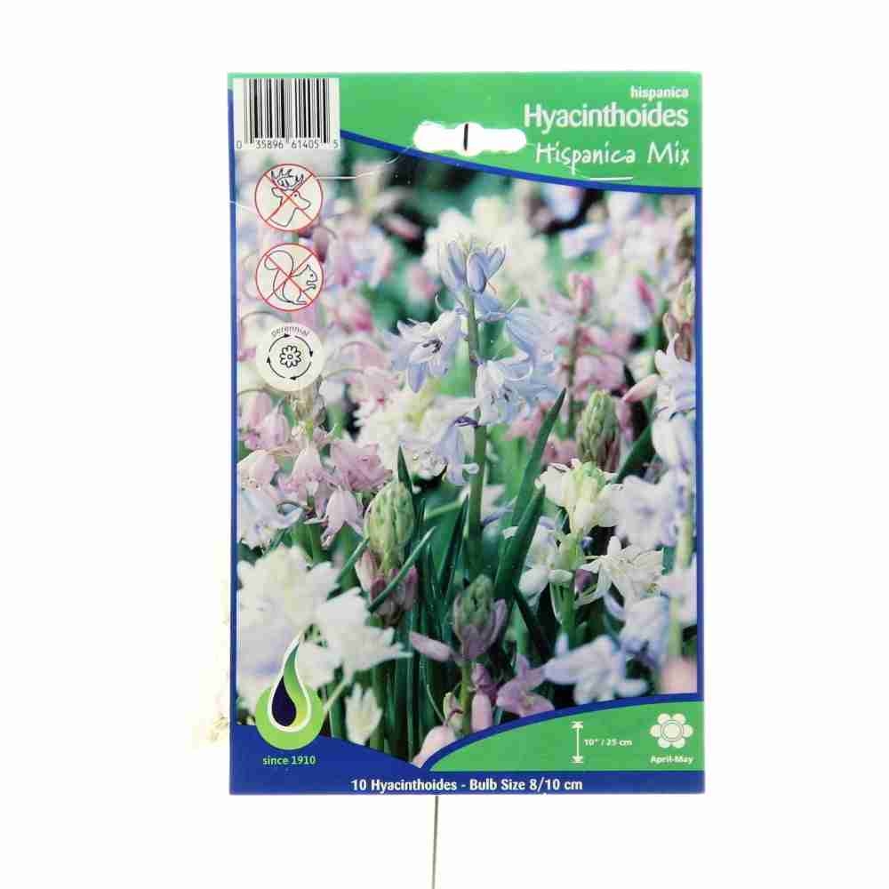 Rostliny - Hyacintovec mix 10ks