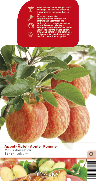 Jabloně - Jabloň 'Benoni' květináč 6 litrů, výška 150/175cm, podzimní, CIZOSPRAŠNÁ