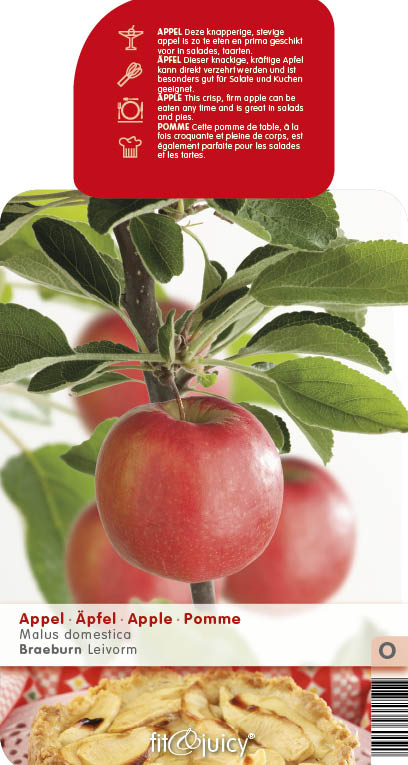 Balkonové ovocné stromky - Jabloň 'Braeburn' květináč 5 litrů, balkonová, zákrsek, zimní, CIZOSPRAŠNÁ