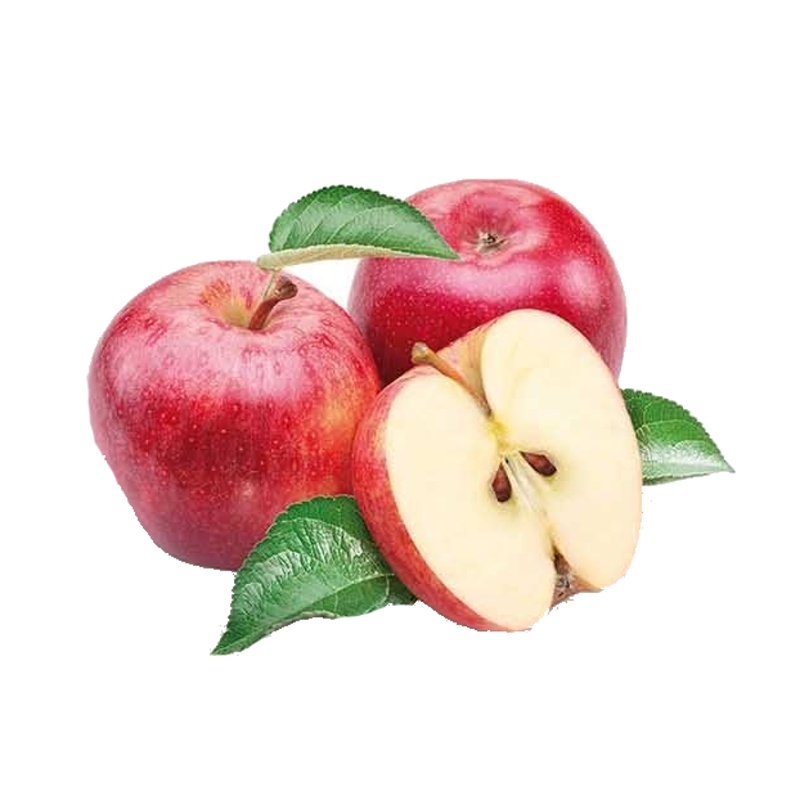 Jabloň Discovery květináč 5 litrů, balkonová, zákrsek, letní, CIZOSPRAŠNÁ-0