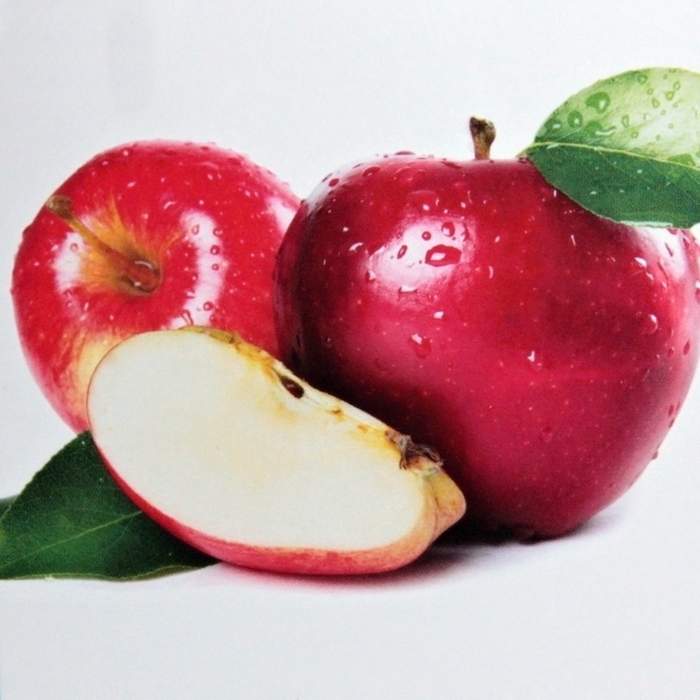 Jabloně - Jabloň duo'Golden Delicious' a 'Jonagold' květináč 7,5 litru, výška 150/175cm, SOBĚSPRAŠNÉ