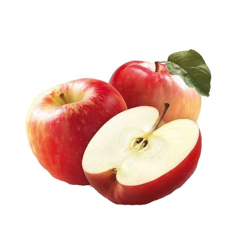 Jabloň Gala květináč 5 litrů, balkonová, zákrsek, zimní, CIZOSPRAŠNÁ-0