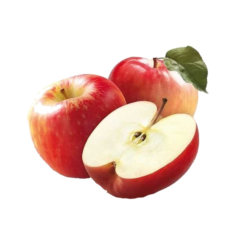 Jabloň 'Gala' květináč 6 litrů, výška 150/175cm, zimní, CIZOSPRAŠNÁ-0