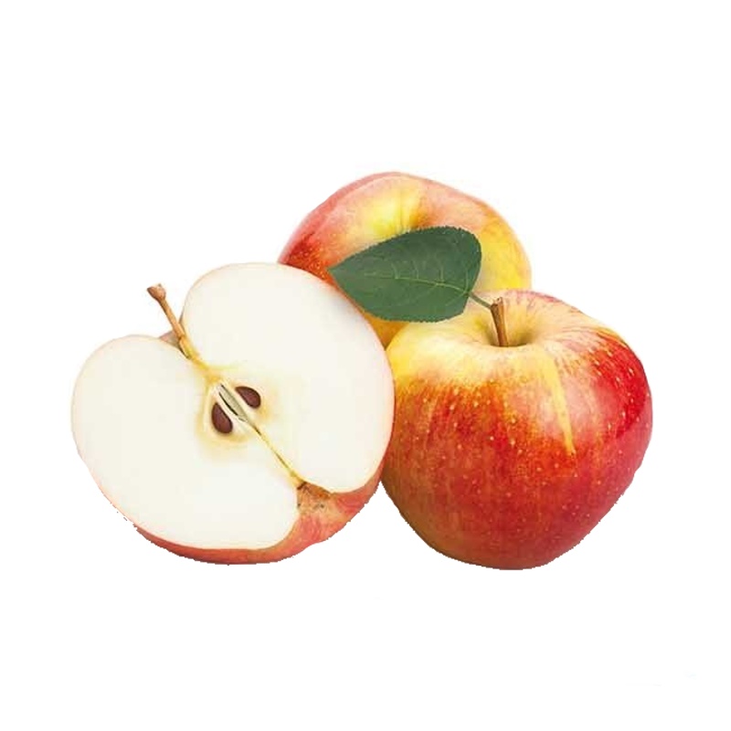 Jabloň James Grieve květináč 5 litrů, balkonová, zákrsek, letní, CIZOSPRAŠNÁ-0