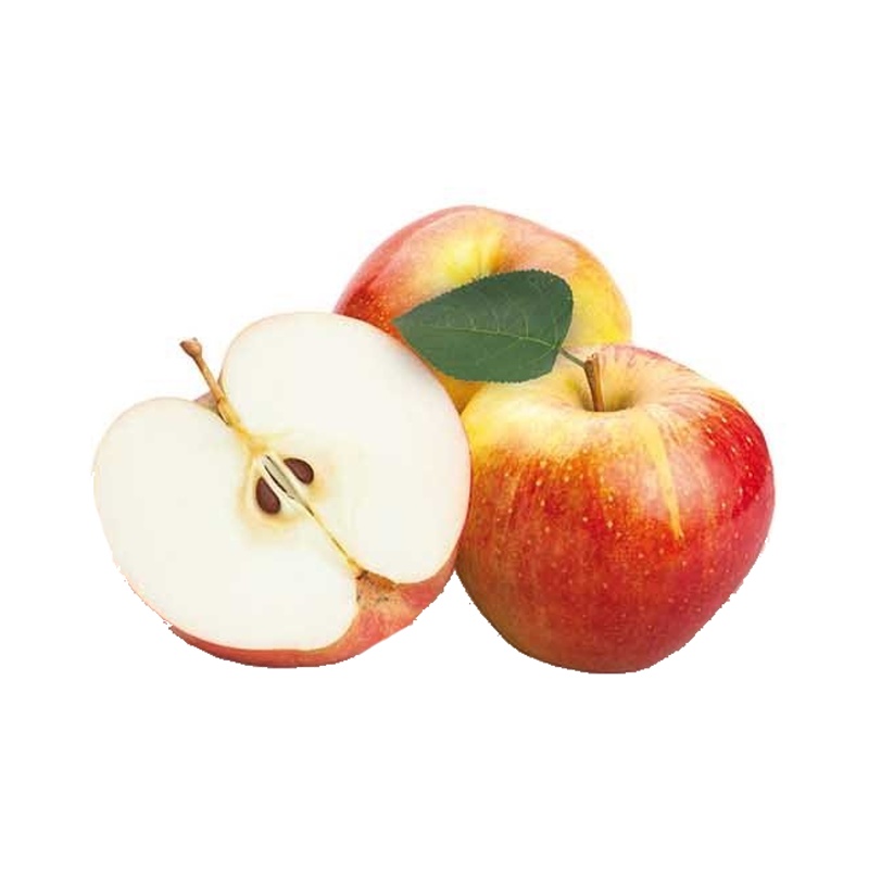 Jabloň James Grieve květináč 6 litrů, výška 150/175cm, stromek, letní, CIZOSPRAŠNÁ-0