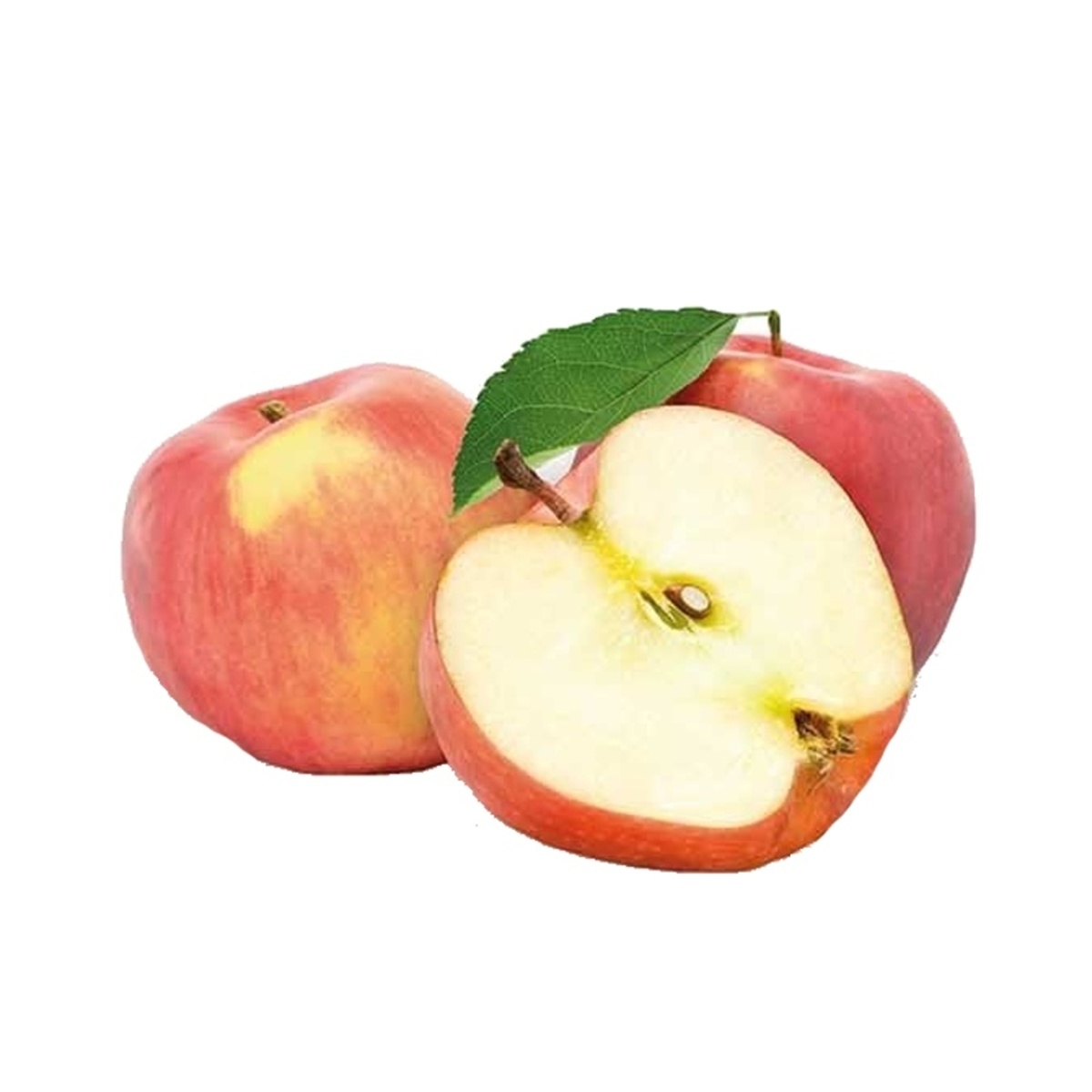 Jabloně - Jabloň Jonagold květináč 5 litrů