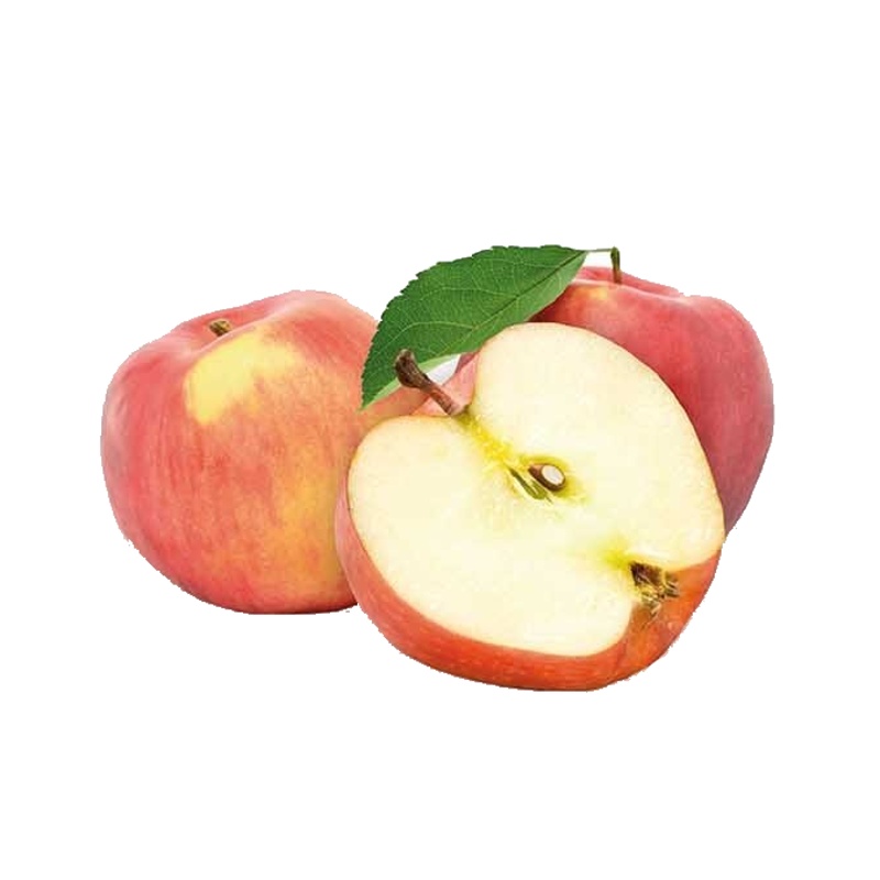 Jabloň Jonagold květináč 7 litru, čtvrtkmen, zimní, CIZOSPRAŠNÁ-0