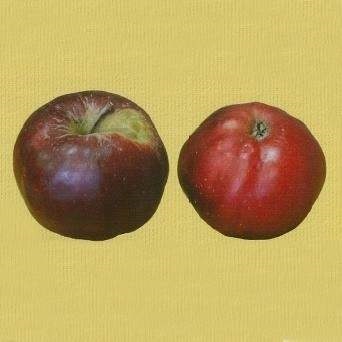 Jabloně - Jabloň 'Kalvil červený podzimní' květináč 7,5 litru, zákrsek, podzimní, CIZOSPRAŠNÁ