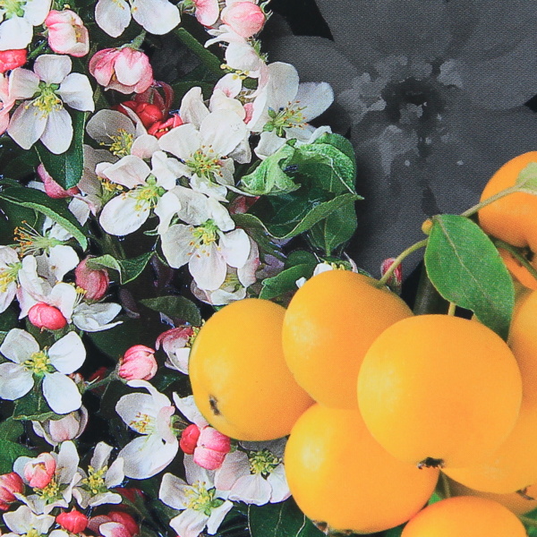 Jabloň okrasná Golden Hornet květináč 7 litrů, výška 60/80cm, keř-0