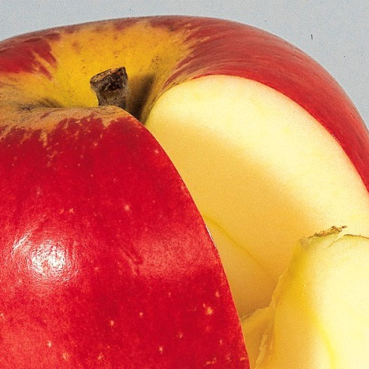 Jabloň Paradis 'Werdenberg' květináč 5 litrů, výška 60/80cm,letní, CIZOSPRAŠNÁ-0