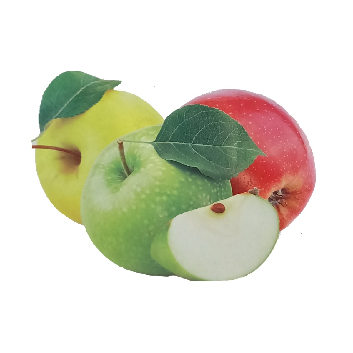 Jabloně - Jabloň Růžena Bláhová květináč 7,5 litru, podzimní/zimní