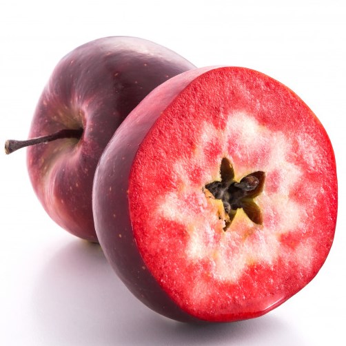 Jabloně - Jabloň 'Vampira' květináč 10 litrů, kmínek 30cm, podzimní, CIZOSPRAŠNÁ