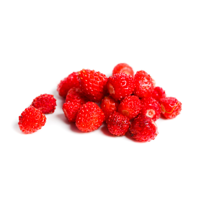 Jahodník měsíční 10pack-0