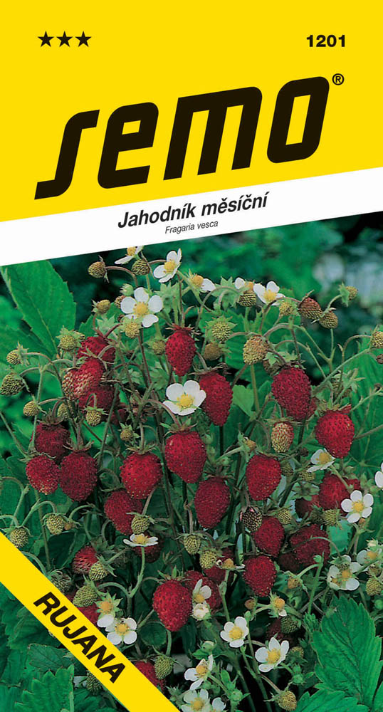 Osivo zeleniny - Jahodník měsíční Rujána