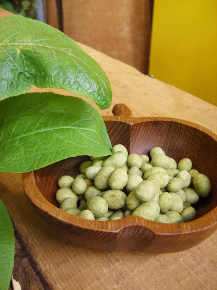 Japonský křen Wasabi BIO květináč 12cm-1