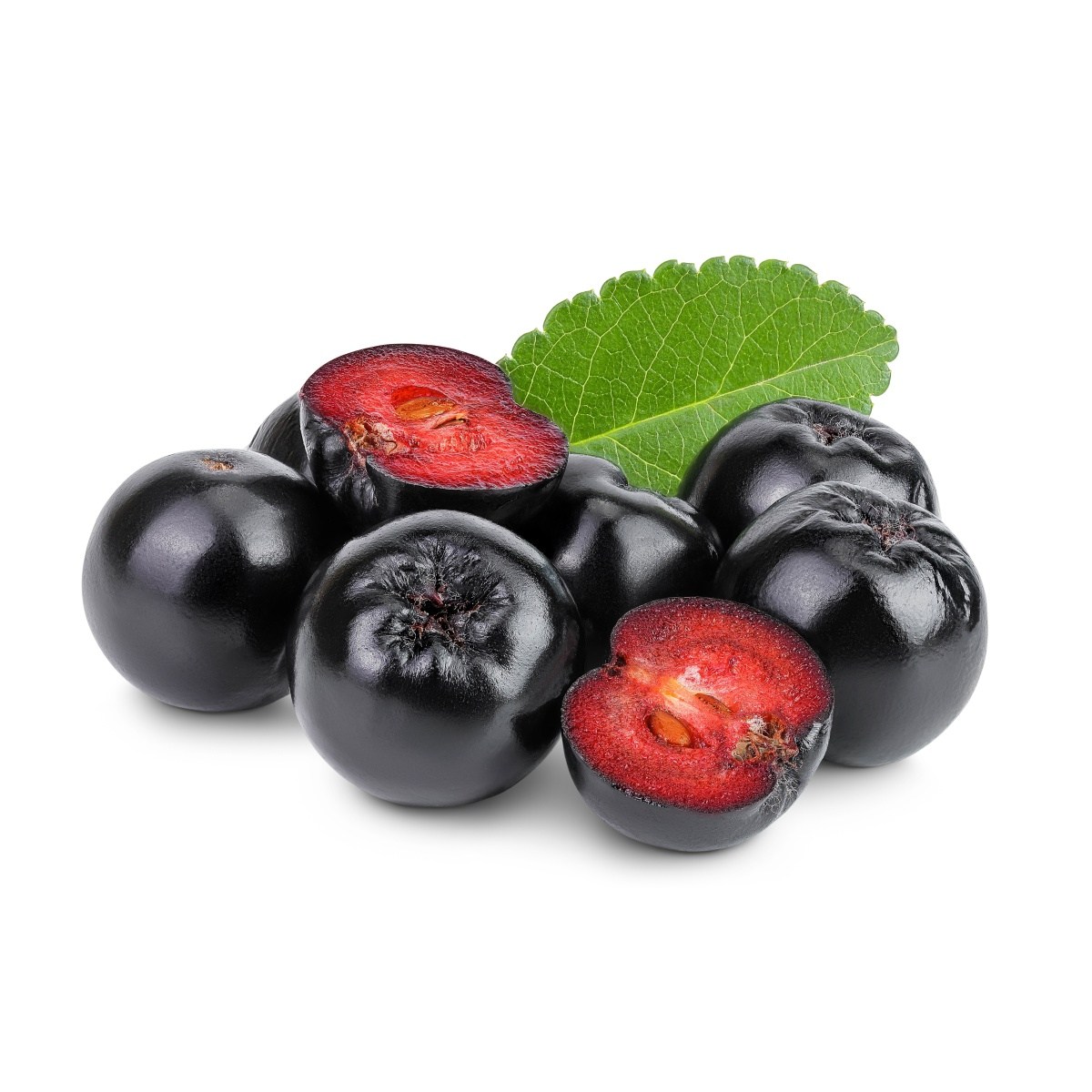 Ovocné stromky do zahrady - Jeřáb černý Aron kmínek 90cm