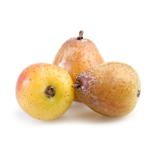 Ovocné stromky do zahrady - Jeřáb oskeruše 'Pyriformis' výška 125/150cm