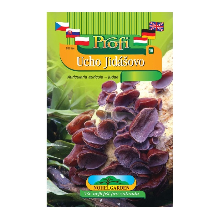 Houby - Jidášovo ucho